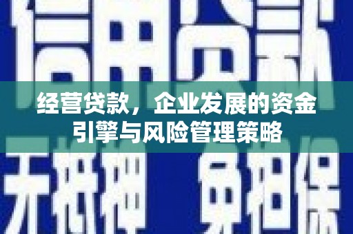 宜城经营贷款，企业发展的资金引擎与风险管理策略
