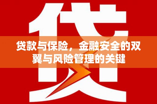 宜城贷款与保险，金融安全的双翼与风险管理的关键