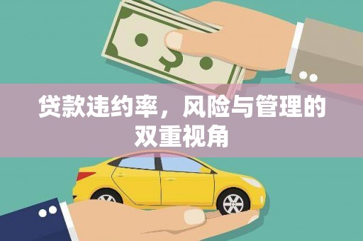 宜城贷款违约率，风险与管理的双重视角