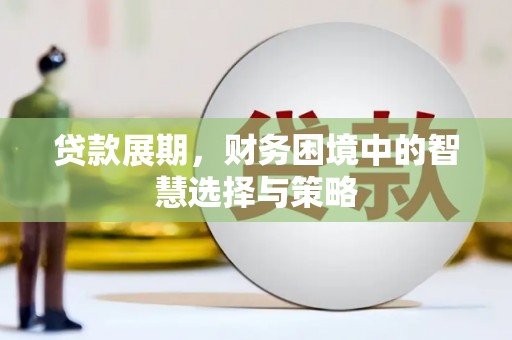 宜城贷款展期，财务困境中的智慧选择与策略