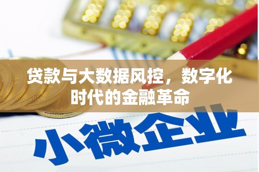 宜城贷款与大数据风控，数字化时代的金融革命