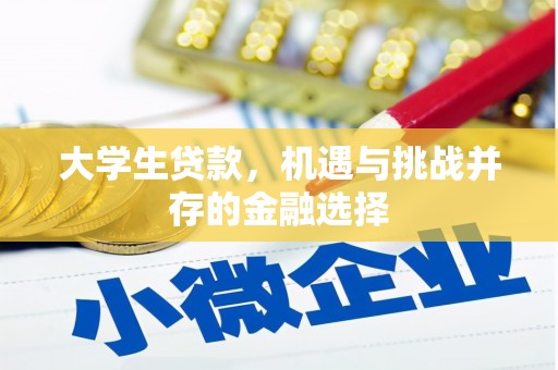 宜城大学生贷款，机遇与挑战并存的金融选择