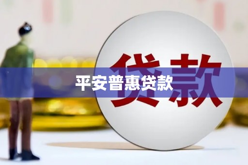宜城平安普惠贷款