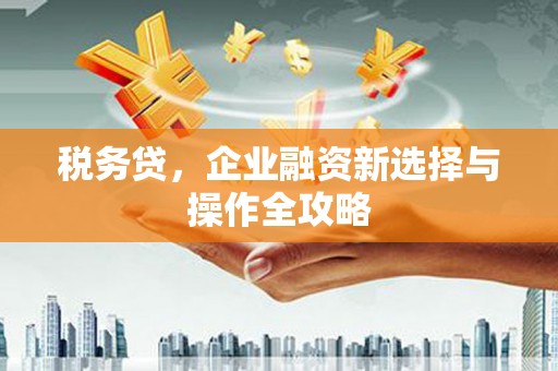 宜城税务贷，企业融资新选择与操作全攻略