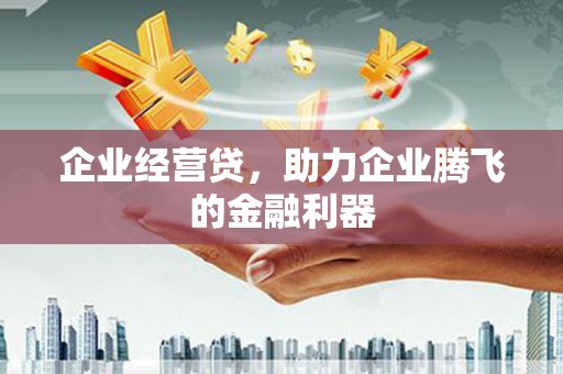 宜城企业经营贷，助力企业腾飞的金融利器