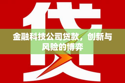 宜城金融科技公司贷款，创新与风险的博弈