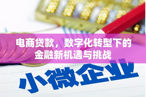 宜城电商贷款，数字化转型下的金融新机遇与挑战