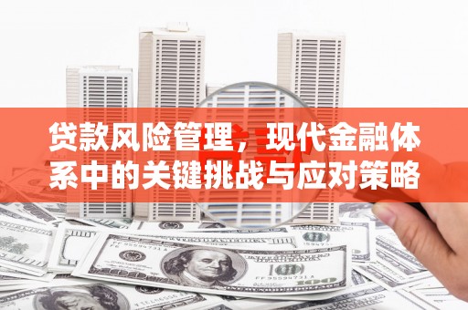 宜城贷款风险管理，现代金融体系中的关键挑战与应对策略