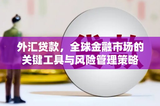 宜城外汇贷款，全球金融市场的关键工具与风险管理策略