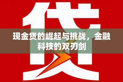 宜城现金贷的崛起与挑战，金融科技的双刃剑