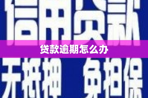 宜城贷款逾期怎么办