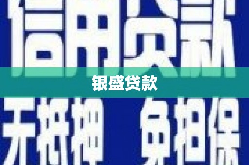 宜城银盛贷款