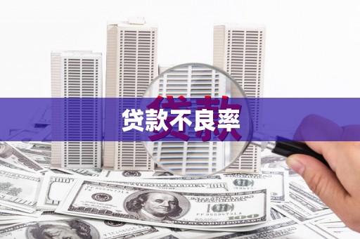宜城贷款不良率