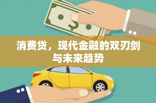 宜城消费贷，现代金融的双刃剑与未来趋势