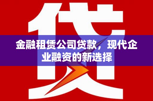 宜城金融租赁公司贷款，现代企业融资的新选择