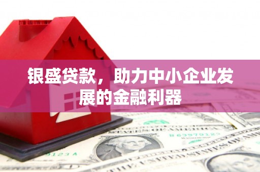 宜城银盛贷款，助力中小企业发展的金融利器