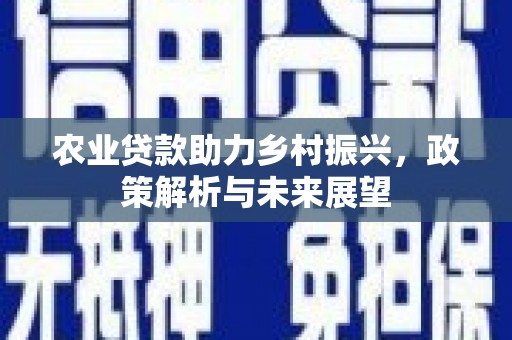宜城农业贷款助力乡村振兴，政策解析与未来展望