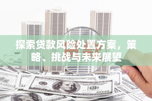 宜城探索贷款风险处置方案，策略、挑战与未来展望