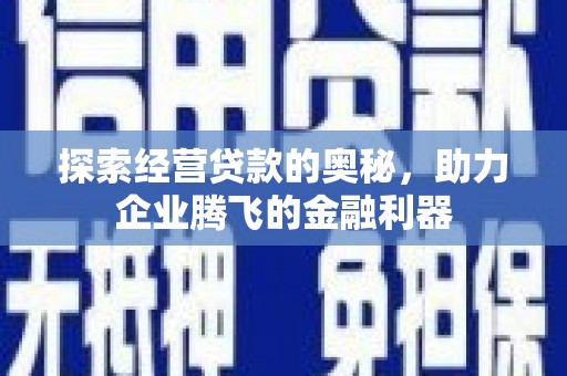 宜城探索经营贷款的奥秘，助力企业腾飞的金融利器