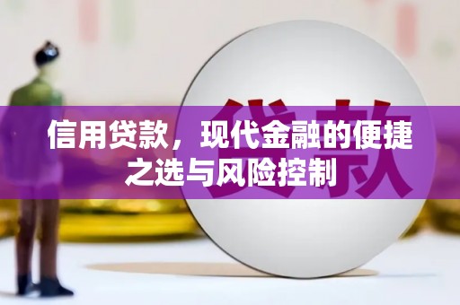 宜城信用贷款，现代金融的便捷之选与风险控制