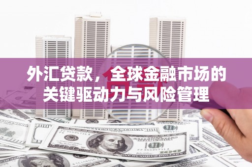 宜城外汇贷款，全球金融市场的关键驱动力与风险管理