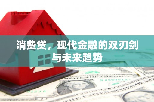 宜城消费贷，现代金融的双刃剑与未来趋势
