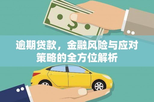 宜城逾期贷款，金融风险与应对策略的全方位解析