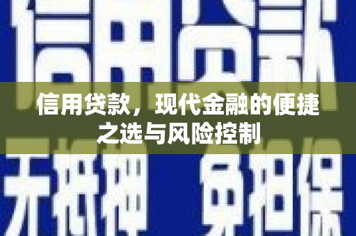 宜城信用贷款，现代金融的便捷之选与风险控制