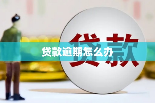 宜城贷款逾期怎么办