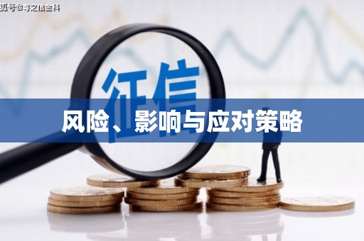 宜城风险、影响与应对策略