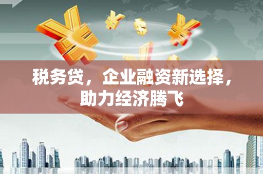 宜城税务贷，企业融资新选择，助力经济腾飞