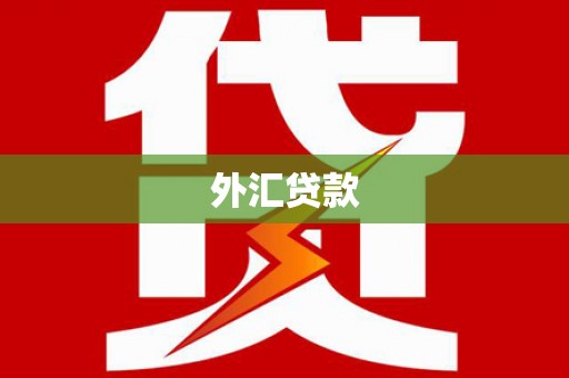 宜城外汇贷款