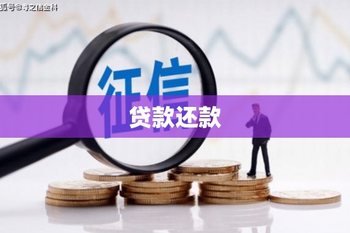 宜城贷款还款