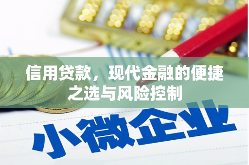 宜城信用贷款，现代金融的便捷之选与风险控制