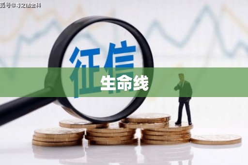 宜城生命线