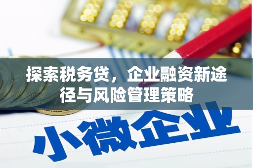 宜城探索税务贷，企业融资新途径与风险管理策略