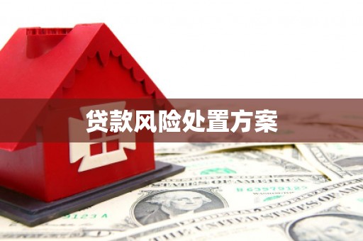 宜城贷款风险处置方案