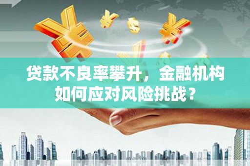 宜城贷款不良率攀升，金融机构如何应对风险挑战？