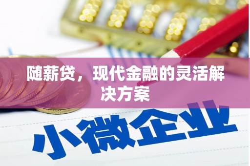 宜城随薪贷，现代金融的灵活解决方案