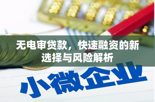 宜城无电审贷款，快速融资的新选择与风险解析