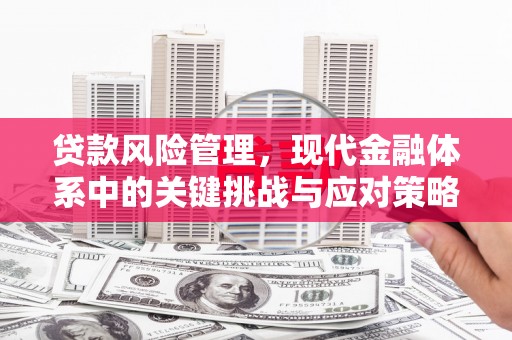 宜城贷款风险管理，现代金融体系中的关键挑战与应对策略