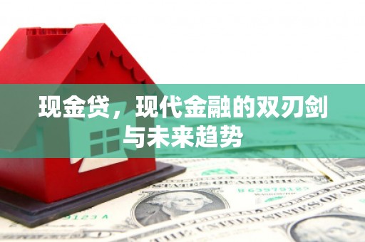 宜城现金贷，现代金融的双刃剑与未来趋势