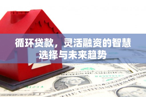 宜城循环贷款，灵活融资的智慧选择与未来趋势