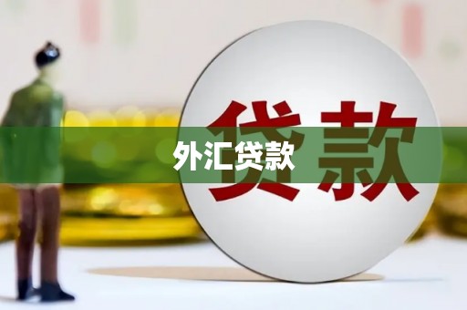 宜城外汇贷款