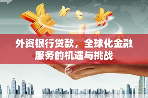 宜城外资银行贷款，全球化金融服务的机遇与挑战