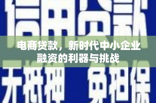 宜城电商贷款，新时代中小企业融资的利器与挑战