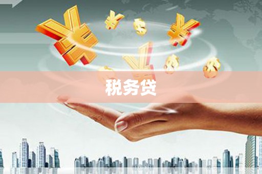 宜城税务贷