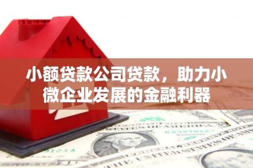 宜城小额贷款公司贷款，助力小微企业发展的金融利器