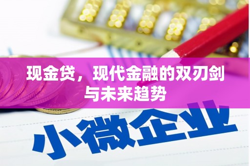 宜城现金贷，现代金融的双刃剑与未来趋势