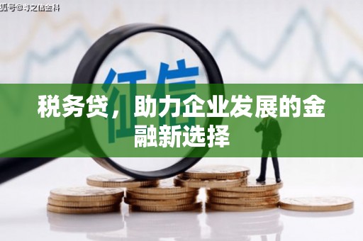 宜城税务贷，助力企业发展的金融新选择